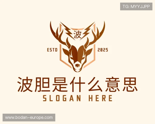 认识波胆比分